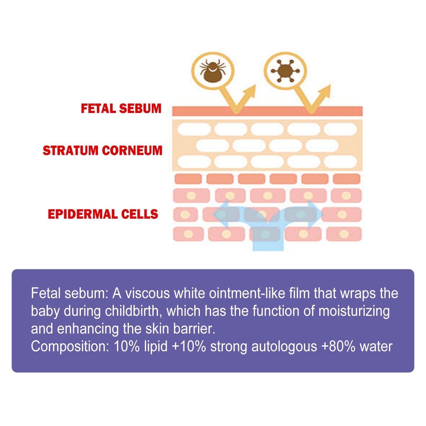 Baby Hip Moisturizing Skin Repair Neck Cream